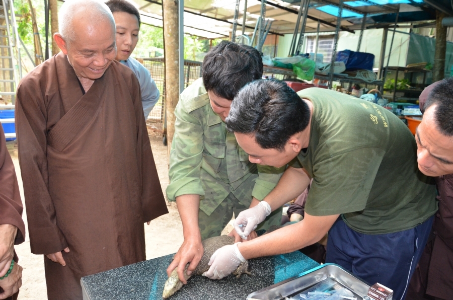 Transferring a varan to the ranch of wild animals