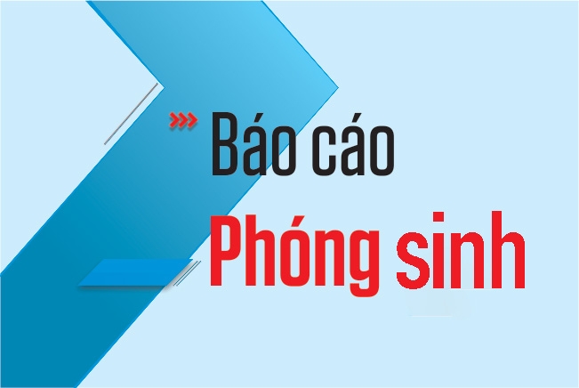 Báo cáo phóng sinh tháng 07/2025