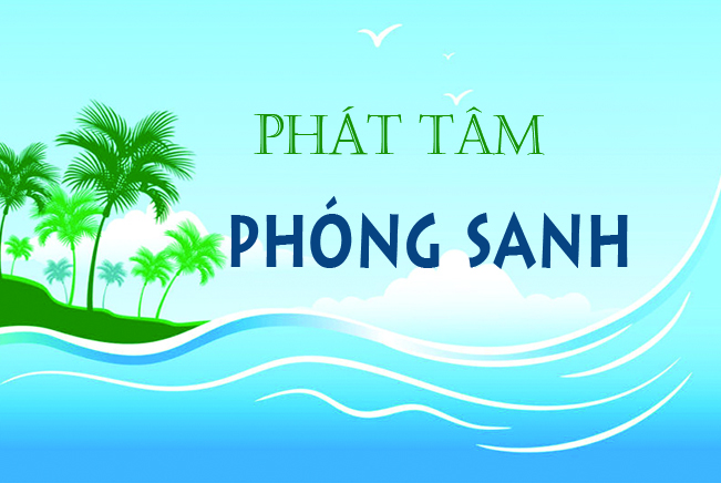 Danh sách cúng dường phóng sinh tháng 11/2024