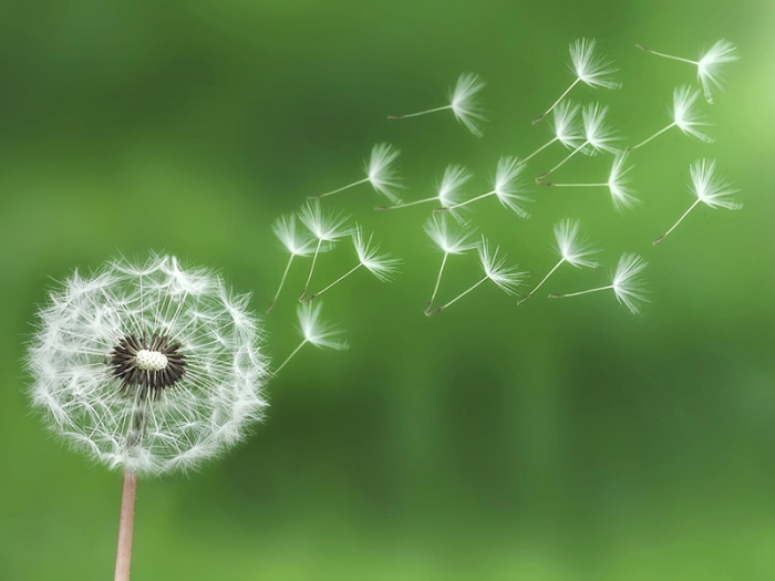 Sending You Happiness (Part 1)
