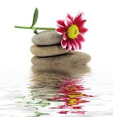 Mindfulness is the best medicine