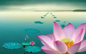 Nibbana Is Giving Up, Letting Go, and Being Free