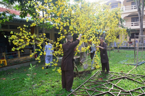 Preparation for New Year of Rooster is about finished