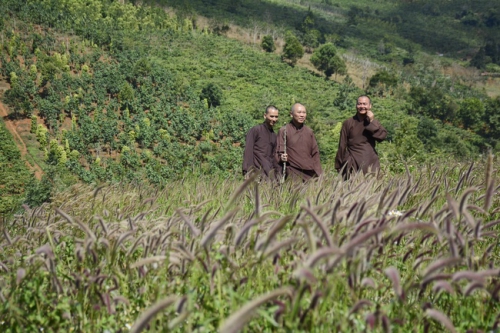 Visits and New Year Wishes to the Hoang Phap Pagoda