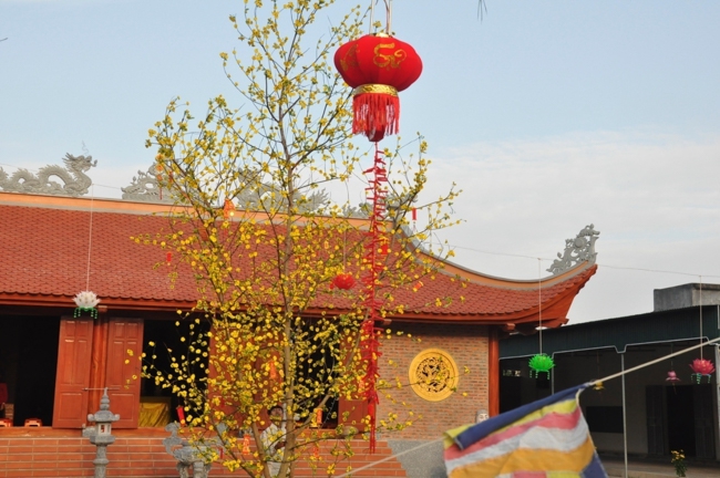 Welcoming The lunar New Year of Rooster at An Phap Pagoda in Nghe An Province