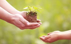 Nibbana Is Giving Up, Letting Go, and Being Free