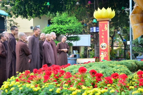 Ấm Áp Tình Xuân