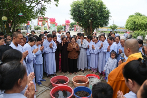 One day cultivation at Dong Cao pagoda in Thanh Hoa province