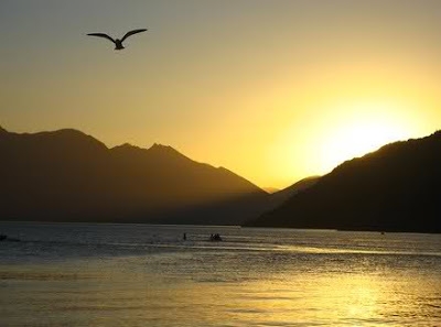 Cánh nhạn ngang trời