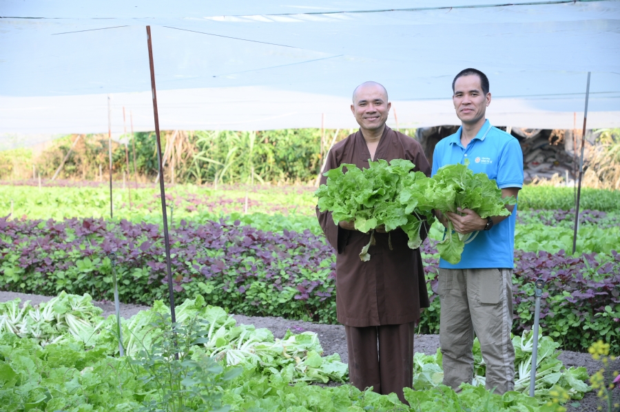 Chư Tăng và công quả nội tự chùa Hoằng Pháp tiếp tục chuyến đi thu hoạch rau cúng dường (Bình Dương).