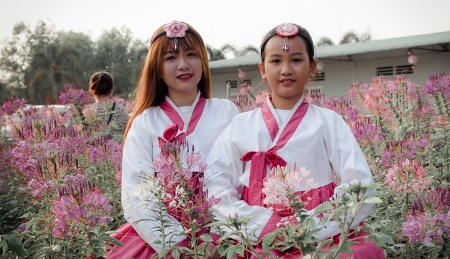 Chùm ảnh mồng năm Tết tại chùa Tây Pháp