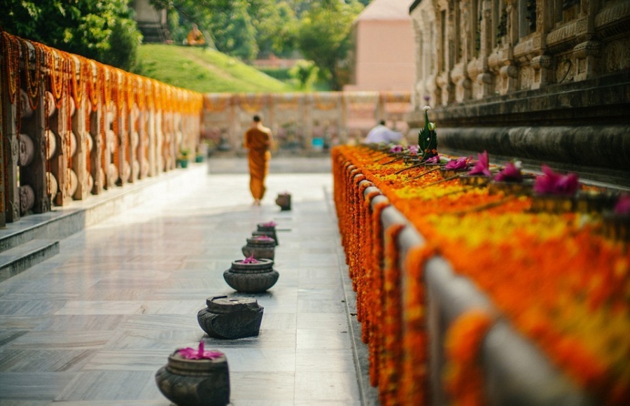 Con đường hạnh phúc