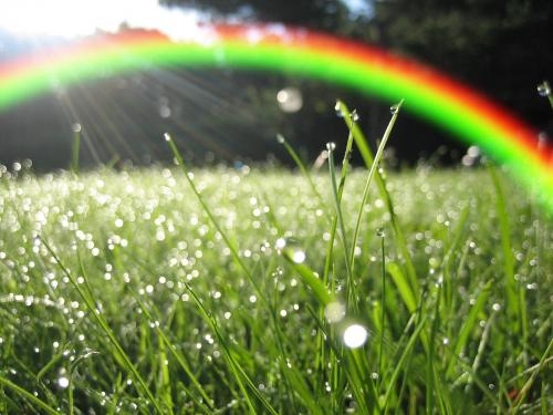 Cơn mưa và những gì còn lại?