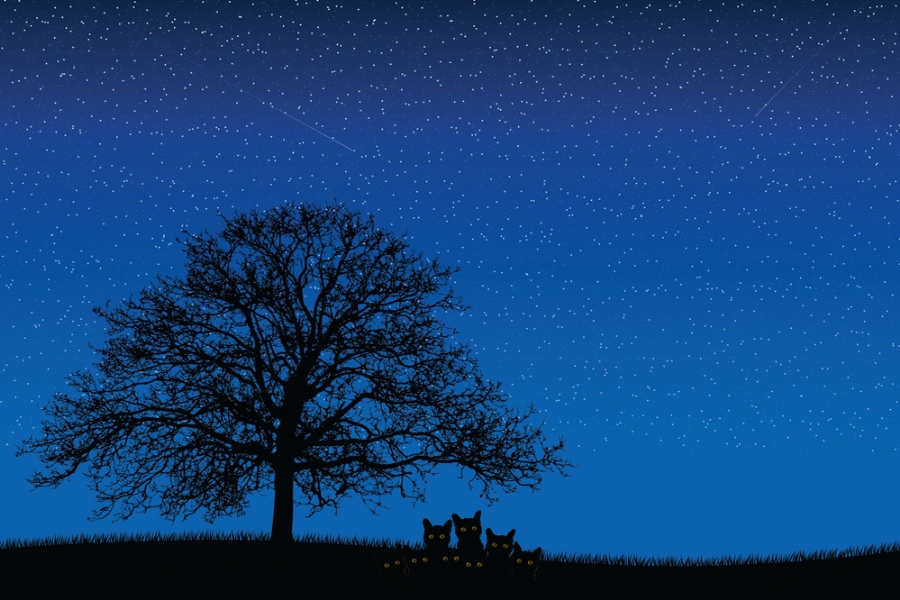 Địa ngục chốn nào?