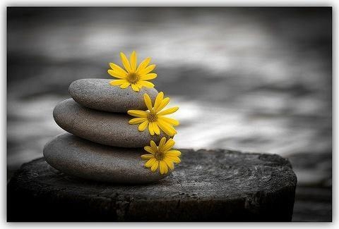 Hạnh phúc nơi tự thân