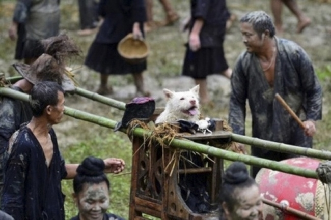 Lễ hội kiệu chó của dân tộc Miao