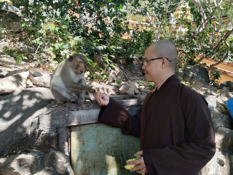 Lên núi Viên Không