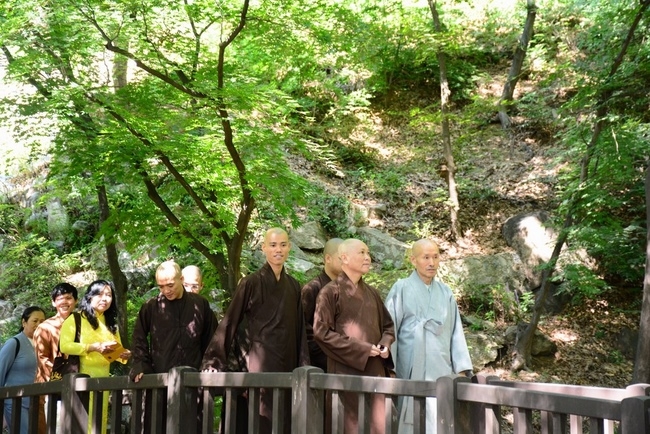 Mãi mãi bên Thầy