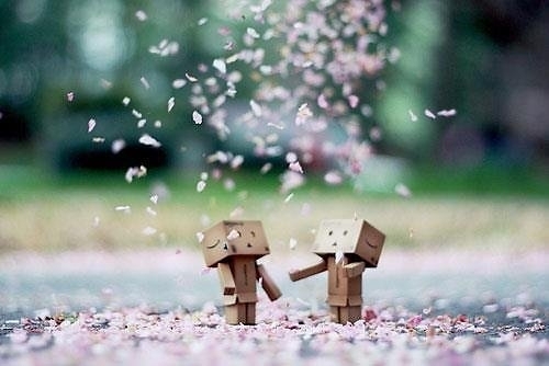 Một đêm hạnh phúc