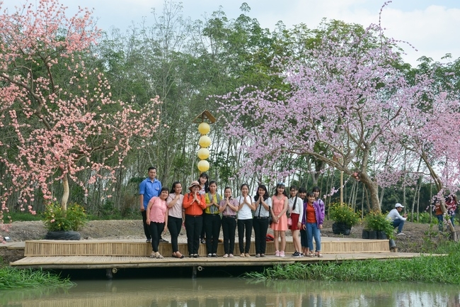 Spring at Thuy Hoa park