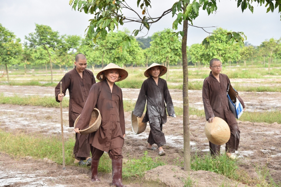 Người gieo mầm xanh