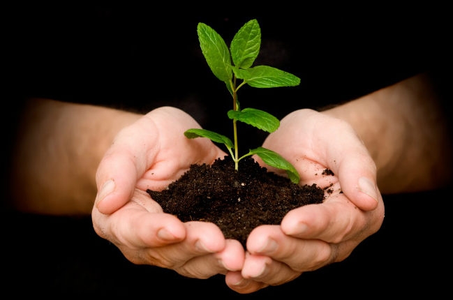 Nhân quả trong nhà Phật