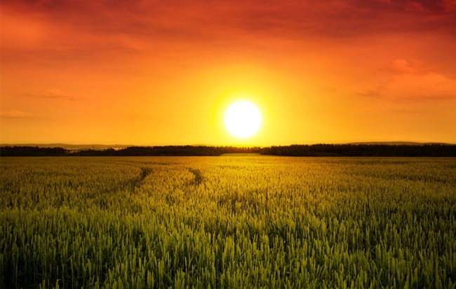 Suy nghĩ về nơi bắt đầu (Phần 1)