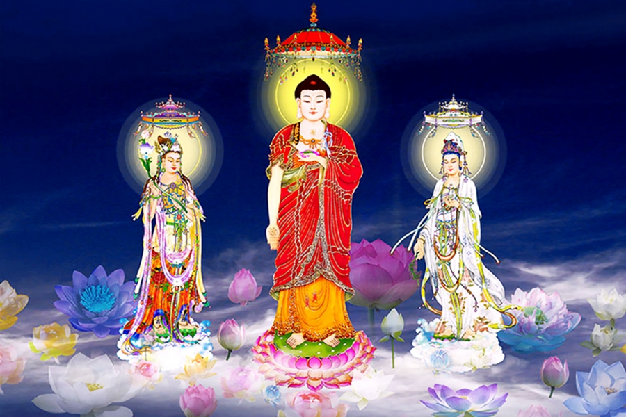 Tại sao tôi chọn pháp môn Tịnh độ?