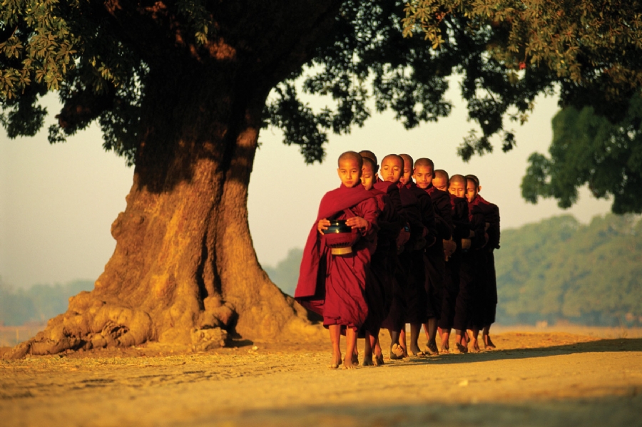 Tại sao tôi đi tu?