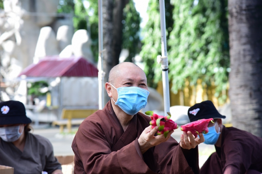 Thầy và đại dịch
