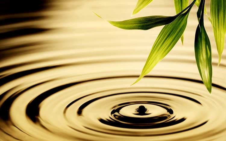 Thường hành chánh niệm