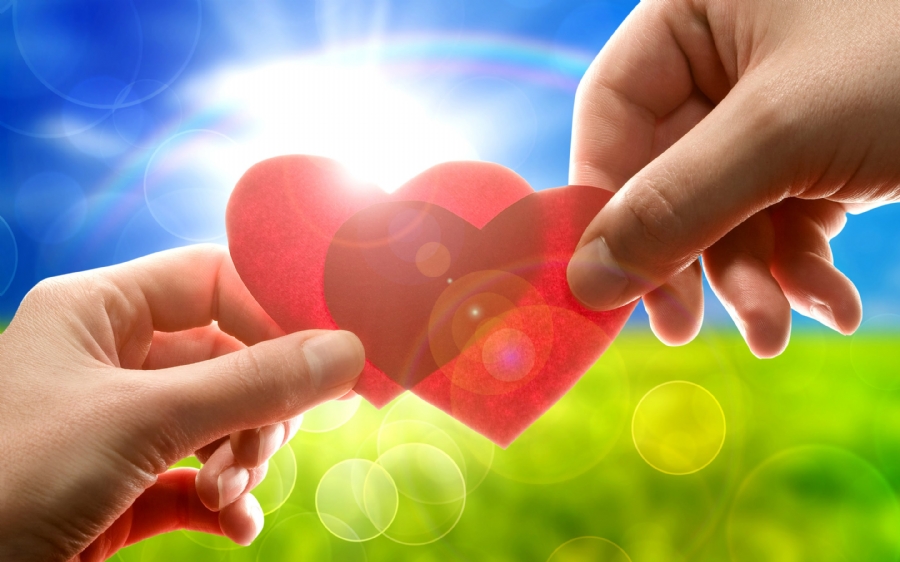 Tình yêu không có lỗi