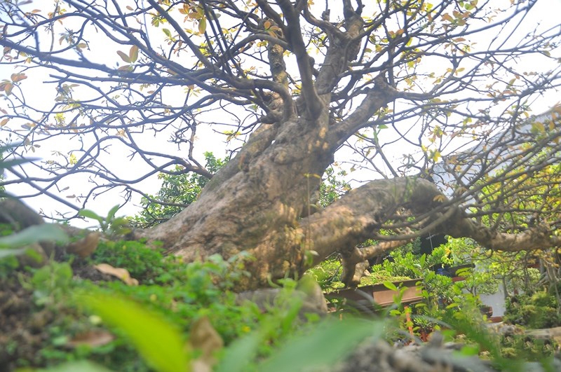 Trải nghiệm cuộc sống