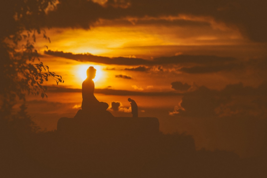 The Dwelling in the Dharma King's House - Upholding the Tathagatagarbha