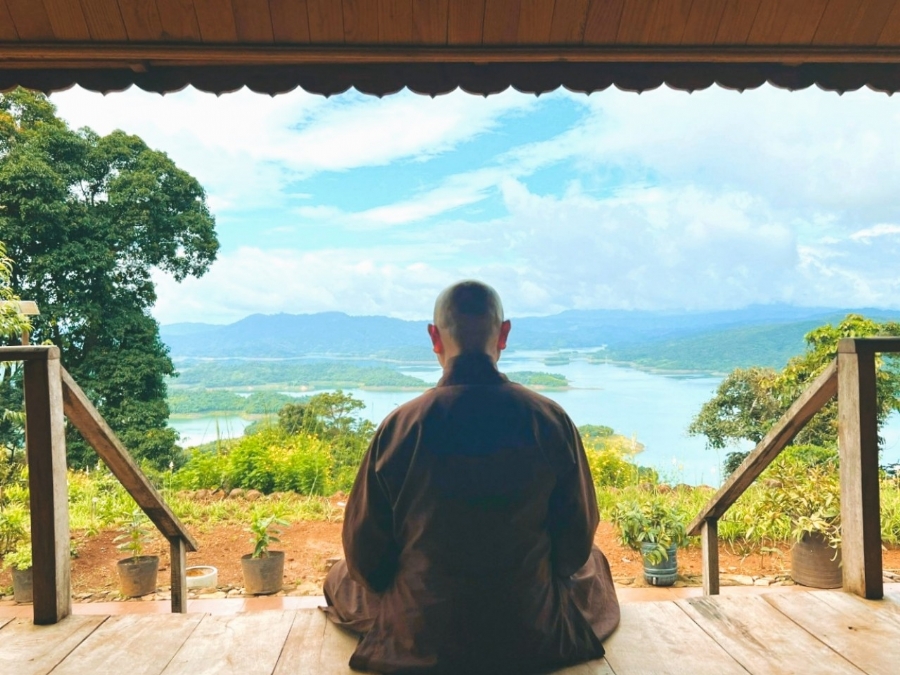 Truyện ngắn: Dược từ thảo