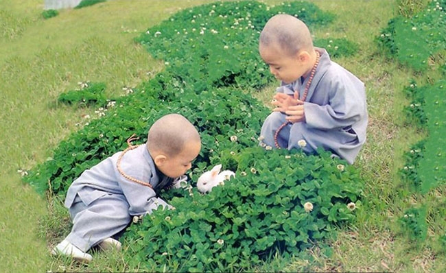 Từ bi – Bình đẳng