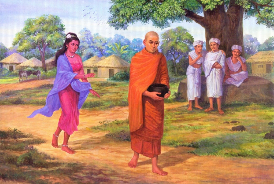 Tu là cội phúc, tình là dây oan