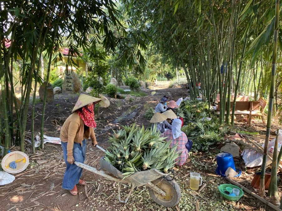 Việc công quả tại chùa