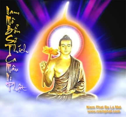 Chấm dứt khổ đau.