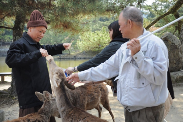 Thăm Đền Chùa Tại Tỉnh Nara.