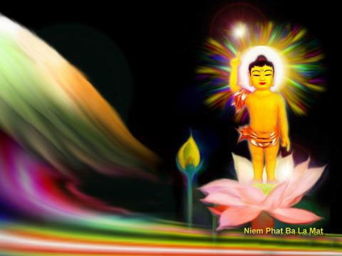 Đóa hoa bất diệt