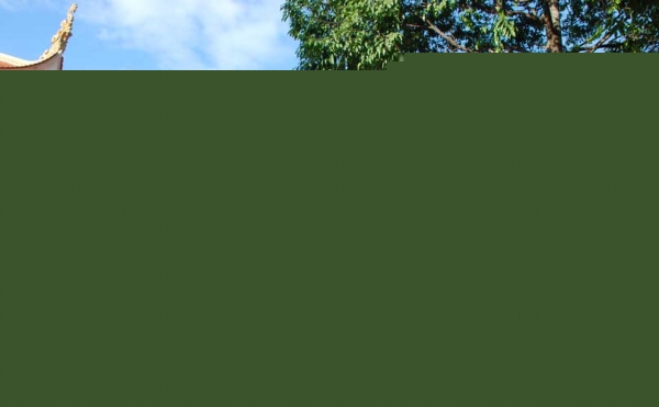 MÙA XUÂN TRONG MỖI CHÚNG TA (trích vài lời đầu trong tập sách cùng tên)