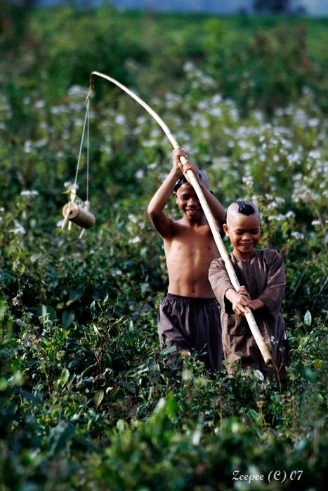 Niềm vui ngày trở về