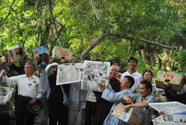 Thương yêu sự sống