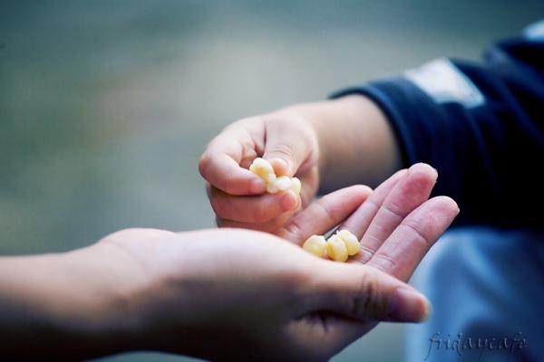 Nuôi dưỡng lòng yêu thương