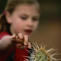 Hãy rút mũi gai ra