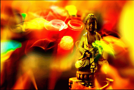 Quả báo một việc làm ác