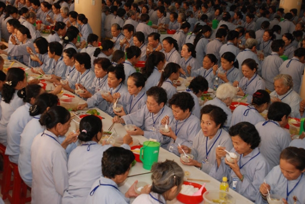 Những cánh chim không mệt mỏi