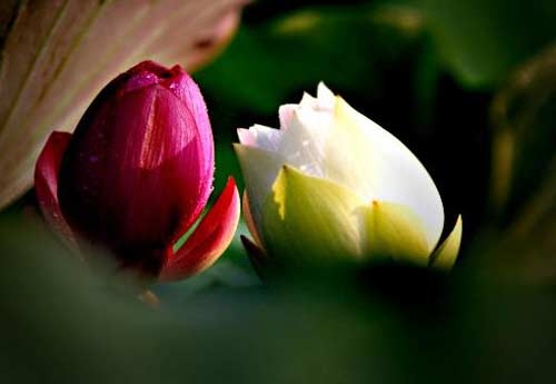 Đôi điều trăn trở