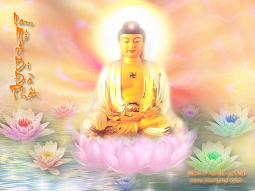 Con đường tu Tịnh độ